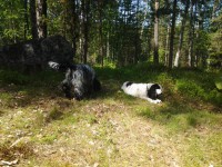 /album/patu/whoo13-277-jpg/